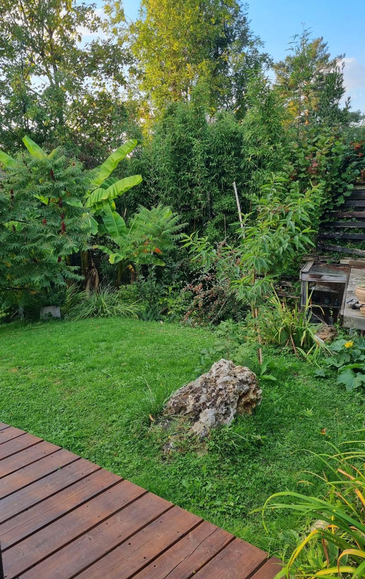 Belle Maison D'Art Verdoyante & Jardin Saint-Rémy-lès-Chevreuse Zewnętrze zdjęcie