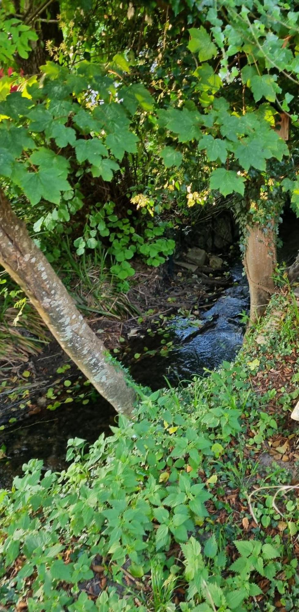 Belle Maison D'Art Verdoyante & Jardin Saint-Rémy-lès-Chevreuse Zewnętrze zdjęcie